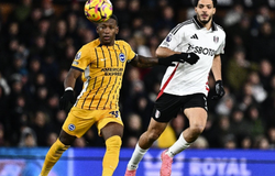 Nhận định, soi kèo Brighton vs Fulham: Chim mòng biển bay cao