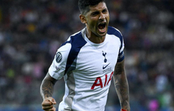 Nhận định, soi kèo Tottenham vs Burnley: Gà trống cất tiếng gáy