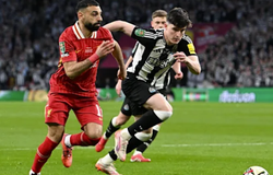 Nhận định, soi kèo Newcastle vs Liverpool: Khó khăn chờ đợi