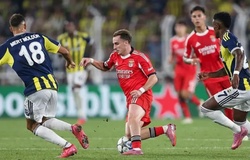 Dự đoán Benfica vs Fenerbahce, 2h00 ngày 28/8, Champions League 2025/26