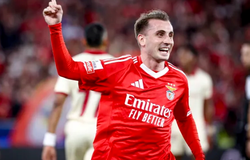 Nhận định, soi kèo Benfica vs Fenerbahce: Điểm tựa sân nhà