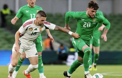 Nhận định, soi kèo Ireland vs Hungary: Lợi thế sân nhà