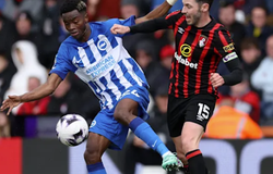 Nhận định, soi kèo Bournemouth vs Brighton: Cân tài cân sức