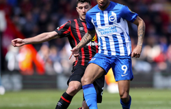 Tỷ lệ kèo trận Bournemouth vs Brighton, 21h ngày 13/9, Ngoại hạng Anh
