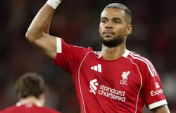 Tỷ lệ kèo trận Burnley vs Liverpool, 20h ngày 14/9, Ngoại hạng Anh