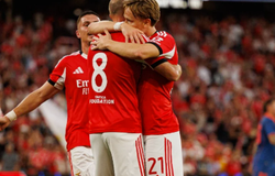 Nhận định, soi kèo Benfica vs Qarabag: Đẳng cấp vượt trội
