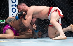 Merab Dvalishvili phiên bản nguy hiểm nhất sẽ xuất hiện ở UFC 320