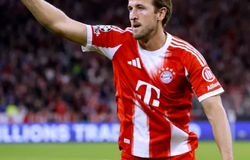 Nhận định, soi kèo Hoffenheim vs Bayern Munich: Khó cản Hùm xám