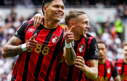 Nhận định, soi kèo Bournemouth vs Newcastle: Điểm tựa sân nhà