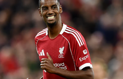 Tỷ lệ kèo trận Liverpool vs Everton, 18h30 ngày 20/9, Ngoại hạng Anh