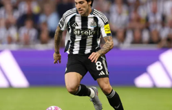 Nhận định, soi kèo Newcastle vs Bradford: Dè chừng hiện tượng