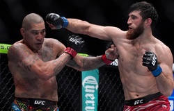 Magomed Ankalaev đáp trả bình luận "hèn hạ" của Alex Pereira