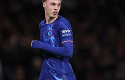 Tỷ lệ kèo trận Chelsea vs Brighton, 21h ngày 27/9, Ngoại hạng Anh