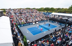 Hệ thống giải đấu Pickleball thế giới: Từ đỉnh cao chuyên nghiệp đến sân chơi cộng đồng