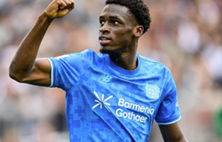 Nhận định, soi kèo Leverkusen vs PSV: Điểm tưa sân nhà