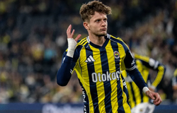 Nhận định, soi kèo Fenerbahce vs Nice: Áp lực lớn cho đội khách