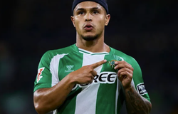 Nhận định, soi kèo Ludogorets vs Real Betis: Điểm tựa sân nhà