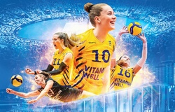 8 quốc gia đăng cai giải bóng chuyền vô địch châu Âu 2026