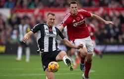 Tỷ lệ kèo trận Newcastle vs Nottingham, 20h00 ngày 5/10, Ngoại hạng Anh