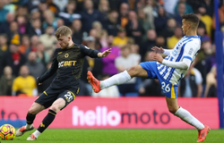 Nhận định, soi kèo Wolves vs Brighton: Điểm tựa sân nhà