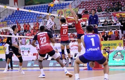 Biên Phòng lần thứ 3 liên tiếp vào chung kết giải bóng chuyền VĐQG