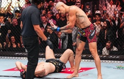 Alex Pereira mỉa mai lời biện hộ chấn thương của Ankalaev ở UFC 320