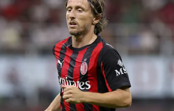 Nhận định, soi kèo Milan vs Fiorentina: Chiến thắng nhọc nhằn