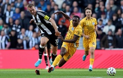 Dự đoán Newcastle vs Benfica, 2h00 ngày 22/10, Champions League 2025/26