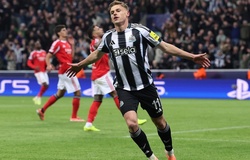 Dự đoán Newcastle vs Fulham, 21h00 ngày 25/10, Ngoại hạng Anh 2025/26