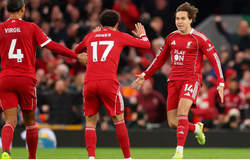 Nhận định, soi kèo Brentford vs Liverpool: Tiếp đà hồi sinh
