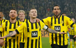Nhận định, soi kèo Dortmund vs Koln: Trở lại mạch chiến thắng
