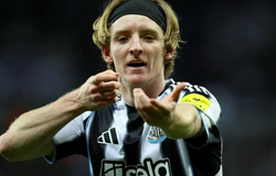 Nhận định, soi kèo Newcastle vs Fulham: Lợi thế sân nhà