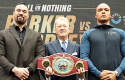 Trận Joseph Parker vs Fabio Wardley kết thúc sau... 4-5 hiệp!