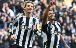 Nhận định, soi kèo Newcastle vs Tottenham: Lợi thế sân nhà