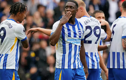 Nhận định, soi kèo Brighton vs Leeds: Chim mòng biển bay cao