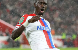 Nhận định, soi kèo Crystal Palace vs Brentford: Lợi thế sân nhà cho Đại bàng