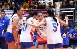 Hà Nội Tasco Auto vô địch thuyết phục giải bóng chuyền hạng A, thăng hạng giải VĐQG 2026