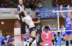 Highlight giải bóng chuyền VĐQG Nhật Bản ngày 1/11: Thanh Thuý toả sáng trong trận đại thắng