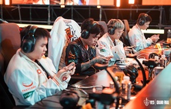 Huỷ diệt 1S, FPT X Flash thẳng tiến chung kết ĐTDV Mùa Đông 2025