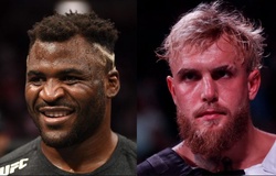 Francis Ngannou phản ứng gay gắt vì "được mời đấu Jake Paul"