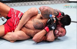 UFC sa thải võ sĩ, điều tra nghi án bán độ