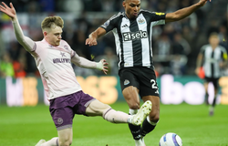 Nhận định, soi kèo Brentford vs Newcastle: Cuộc chiến ở nửa dưới BXH