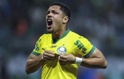 Đội hình tuyển Brazil 2025: Danh sách cầu thủ triệu tập trong tháng 11