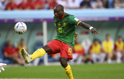 Nhận định, soi kèo Cameroon vs Congo: Chiến thắng nghẹt thở