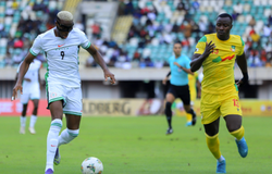 Nhận định, soi kèo Nigeria vs Gabon: Bản lĩnh Đại bàng xanh