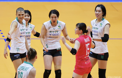 Thanh Thuý đụng độ 3 VĐV Thái Lan tại giải bóng chuyền VĐQG Nhật Bản