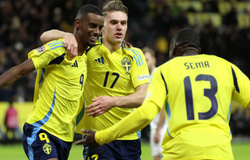 Nhận định, soi kèo Thụy Sĩ vs Thụy Điển: Khác biệt đẳng cấp