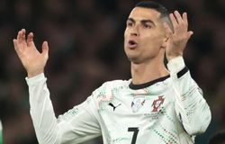 Nhận định, soi kèo Bồ Đào Nha vs Armenia: Khó có bất ngờ