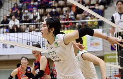 Highlight vòng 12 giải bóng chuyền VĐQG Nhật Bản: Aranmare vs Gunma Green Wings