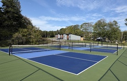 Sức hút đặc biệt của sân pickleball tới thị trường bất động sản